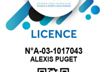 Licence Perpétuelle